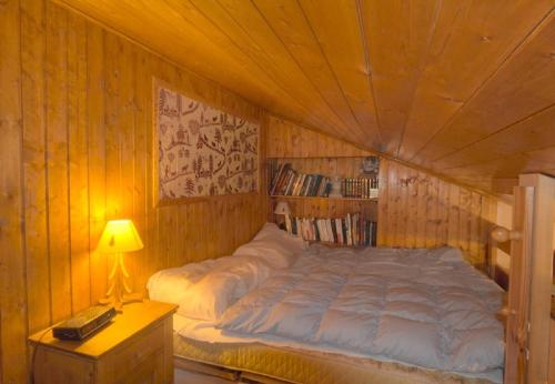 Orion 401 au centre a Anzere vue sur les Alpes