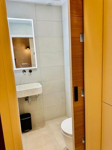 a bathroom with a toilet and a sink and a mirror at Studio cosy avec parking près de Paris Expo Porte de Versailles in Vanves