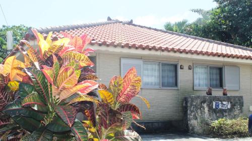 すーじIshigaki