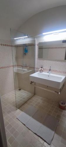 a bathroom with a sink and a shower and a tub at MAS Estrela Chambre Lo Roc in Bessèges
