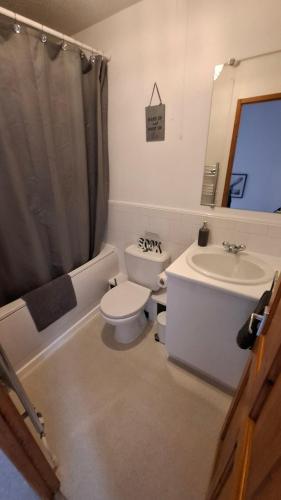 a bathroom with a toilet and a sink at Cosy Manorfield Holiday Home in Kent