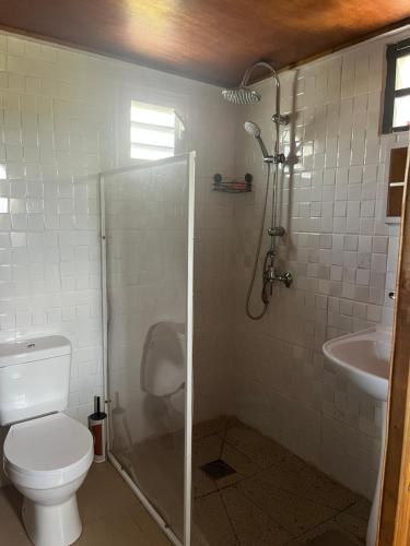 a bathroom with a shower and a toilet and a sink at Au pied du Piton Bellevue in Sainte-Rose