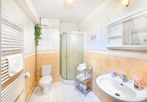 a bathroom with a shower toilet and a sink at Apartmány Renomal in Tatranská Lomnica