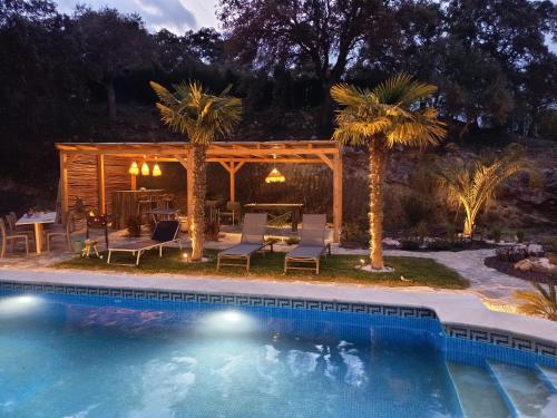 a backyard with a swimming pool and a patio with palm trees at La Única in Coín
