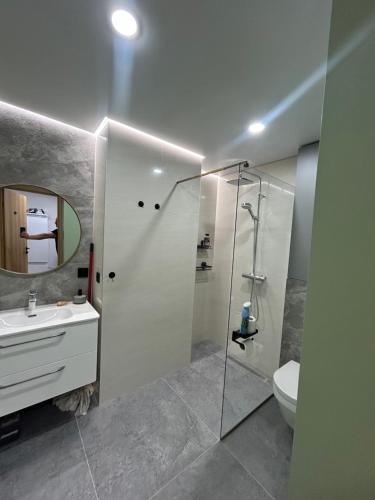 a bathroom with a shower and a sink and a toilet at Апартаменты Toome в Кохтла-Ярве in Ahtme