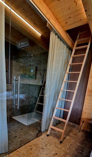a bathroom with a ladder and a glass shower at Pinja gozdne hiške in Črniče