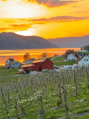 a farm in a field with a sunset in the background at Charming tiny house with panorama view in Sandane