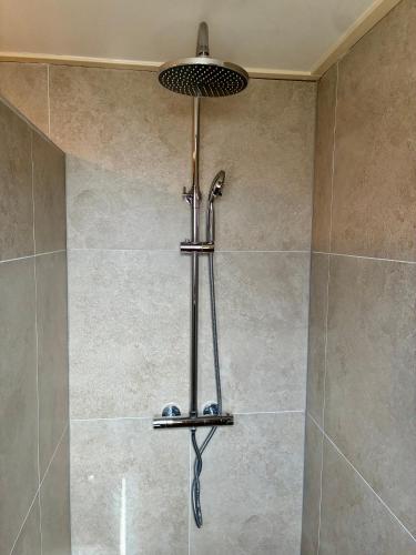 a shower with a shower head in a bathroom at LooSan Lodges Gastenhuis in Reutum