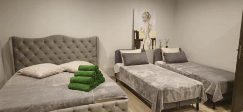 a bedroom with two beds and a green pillow at Sodyba Azagis in Vilkanastrai