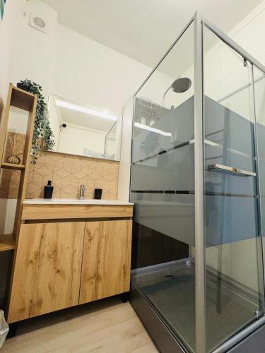a bathroom with a glass shower and a sink at Le Petit Boursiers - hyper centre in Castres