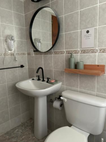 a bathroom with a sink and a toilet and a mirror at Adonai, departamentos in El Bolsón