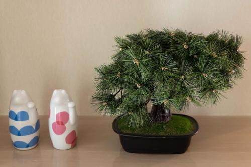 Sumo Stay Hirai - Your Local Home in Tokyo