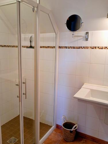 a bathroom with a shower and a sink at Le Clos du Perche in Boissy-lès-Perche