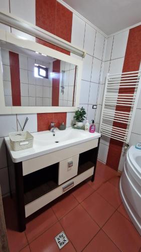 a bathroom with a sink and a mirror and a toilet at Casa Ioanele in Valea Perilor
