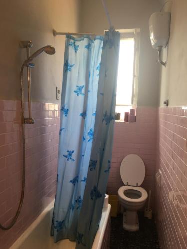 a bathroom with a blue shower curtain with a toilet at House Steccuto in Florence