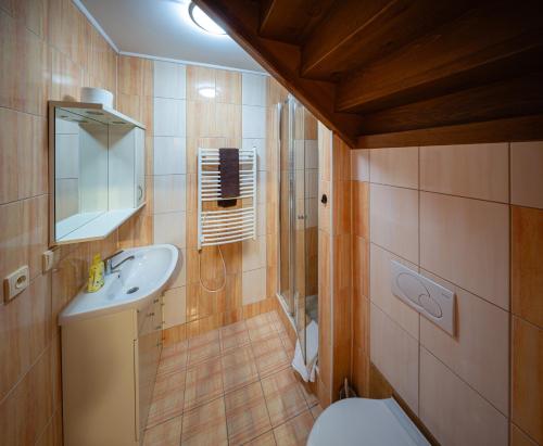 a bathroom with a sink and a toilet at Penzion U Holuba in Hradčovice