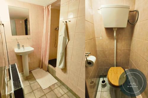 a small bathroom with a toilet and a sink at Chata MIMONKA in Dedinky