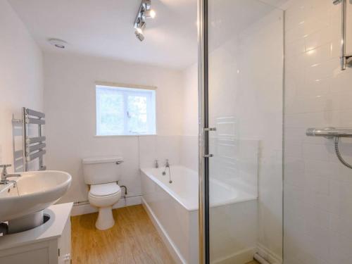 a bathroom with a toilet and a sink and a shower at 2 Bed in Field Dalling oc-kt007 in Saxlingham
