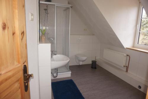 a bathroom with a sink and a toilet at Doppelzimmer mit Bad in Möllenhagen