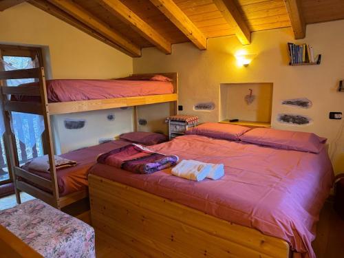 a bedroom with two bunk beds in a cabin at La Casetta di Cri Morbegno in Morbegno