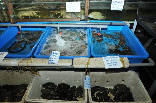 a table with three trays filled with lobsters in at Api-Api GuestHouse in Kota Kinabalu