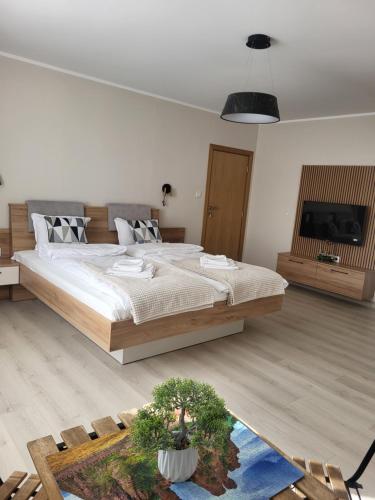 a bedroom with a large bed and a tv at Къща за гости-Ганеви in Zmeitsa