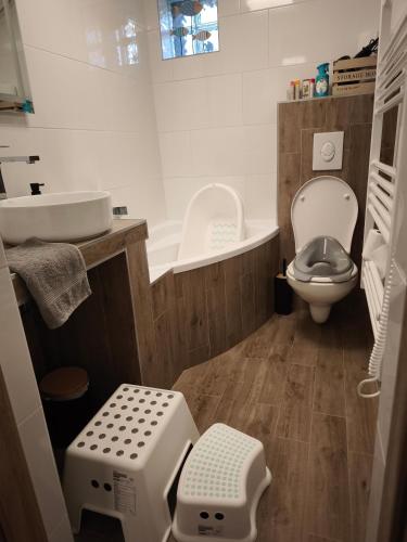 a bathroom with a toilet and a sink and a tub at Döbrönte MagLak in Döbrönte