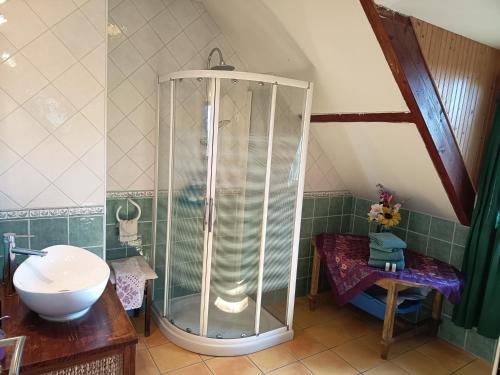 a bathroom with a shower and a sink at Domaine du Der - au milieu de nulle part, Chambres et tables dhotes au lac du Der in Outines