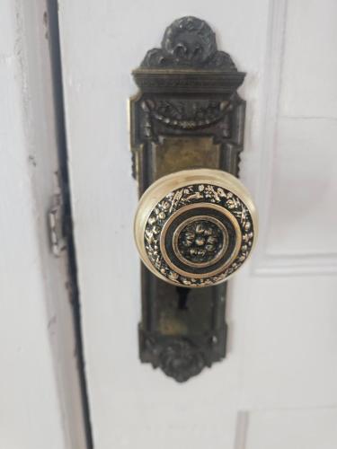 a door with a brass door knocker on a white door at Waterfront The Hearding Island in Duluth