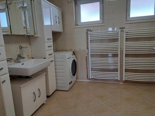 a bathroom with a sink and a washing machine at Apartma Gašper in Šentjur