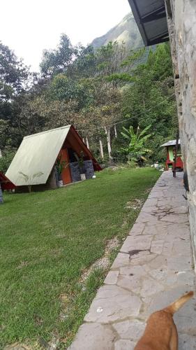 a dog sitting in front of a tent at Lucmabamba Cabaña de los Duendes in Sahuayacu