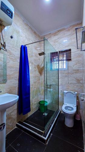 a bathroom with a shower with a toilet and a sink at The Vistana 4Bedroom Pearly Gate Estate Ikota VGC Lekki in Igboshere