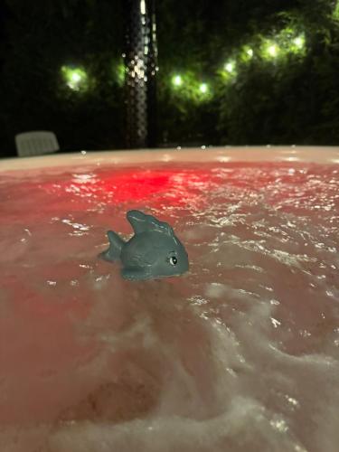 a toy fish sitting in the water at night at Morze Lubiatowo in Lubiatowo