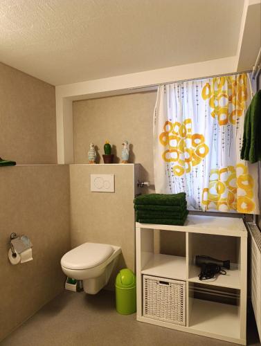 a small bathroom with a toilet and a window at Flowerpot Apartment in Unterseen
