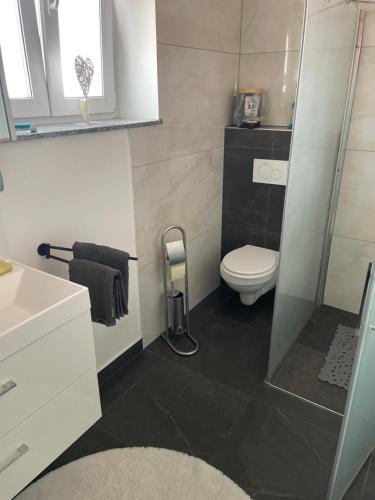 a bathroom with a toilet and a glass shower at Moderne Wohnung Bahnhof nähe in Braunau am Inn
