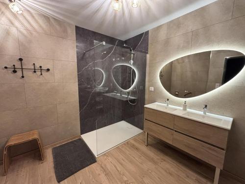 a bathroom with a shower and a sink and a mirror at La beuillotte in Bar-sur-Seine