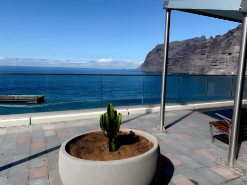 Los Gigantes Sea View