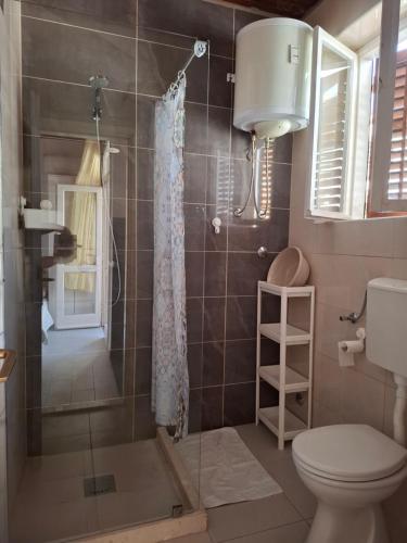 a bathroom with a shower and a toilet at Apartments Kaludjerovic in Herceg-Novi