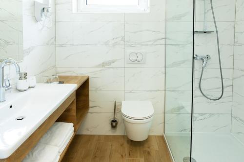 a bathroom with a toilet and a shower at Rooms Gašper 1 in Postojna