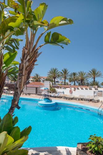 Paraiso Royal - Modern 1 Bedroom Apartment with Terrace in Playa de Las Americas