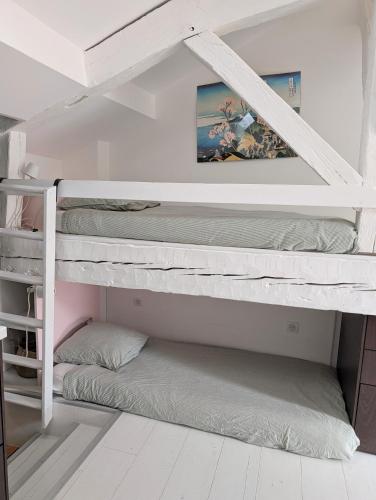 a couple of bunk beds in a room at Charmant cocon sous les toits de Bordeaux in Bordeaux
