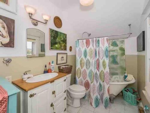 a bathroom with a sink and a toilet and a shower curtain at Waterfront the Alcove in Duluth