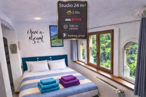 Studio cosy classé 24m2 proche centre, Netflix, parking privé