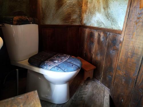 a bathroom with a toilet with a blue seat at Suite Médiévale, l'Epée du Roi Artur avec escape game in Servas