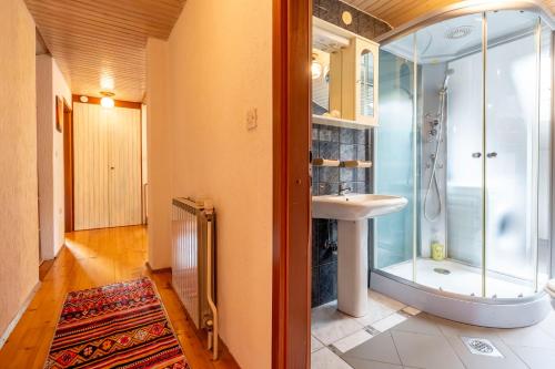 a bathroom with a shower and a sink at Apartmaji Loretica in Most na Soči