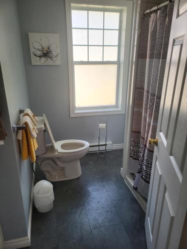 a bathroom with a toilet and a window at Nice and cozy in Dalhousie