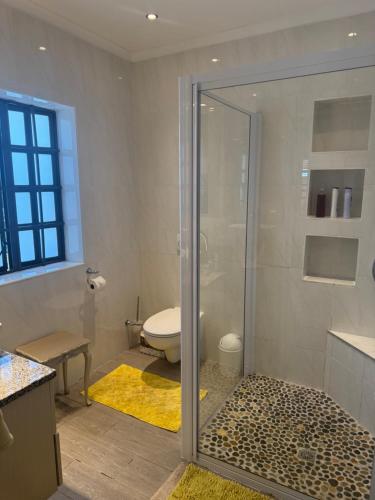 a bathroom with a shower with a toilet and a sink at Picasso's Cottage in Gqeberha