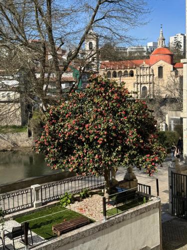 a tree filled with pink flowers next to a river at Casa do Ribeirinho in Amarante