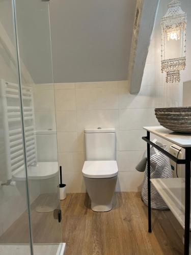 a bathroom with a toilet and a glass shower at ALAIA Mundaka in Mundaka