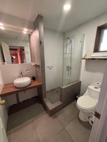 a bathroom with a shower and a toilet and a sink at Hotel Fundo Las Tortolas in Limache